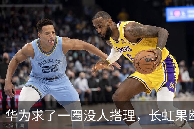 华为求了一圈没人搭理，长虹果断接盘