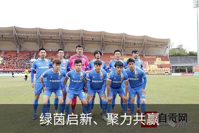 绿茵启新、聚力共赢