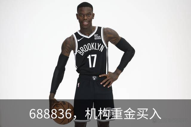 688836，机构重金买入